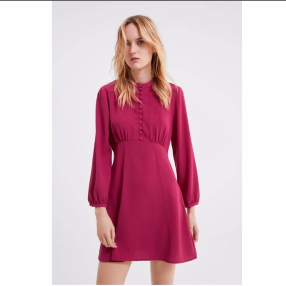 Zara Buttoned Dress Pink High Collared A Line